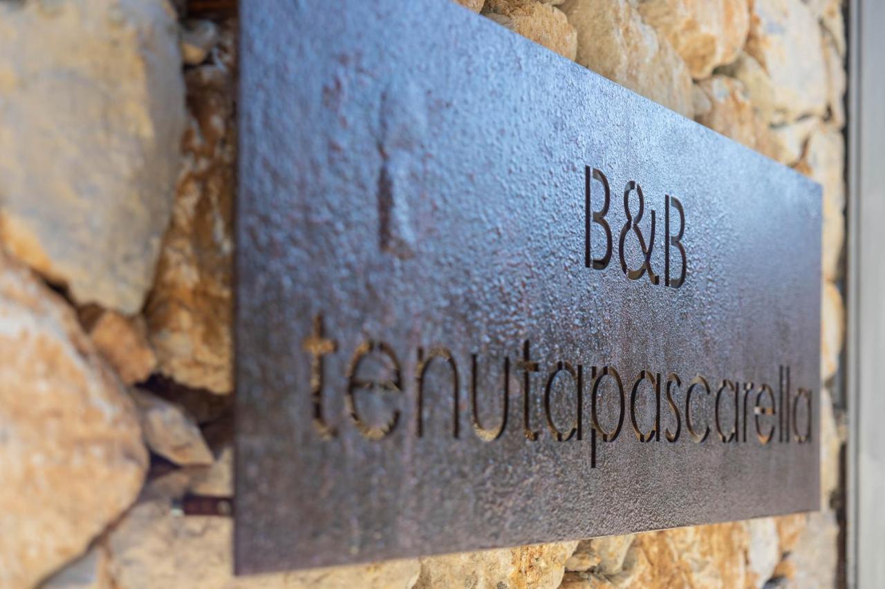 Tenuta Pascarella Bed & Breakfast Frasso Telesino Екстер'єр фото
