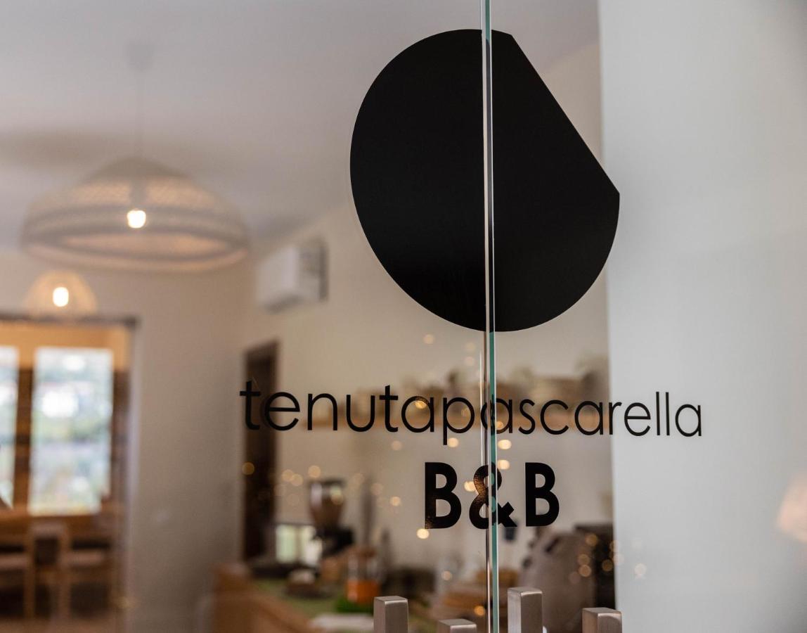Tenuta Pascarella Bed & Breakfast Frasso Telesino Екстер'єр фото